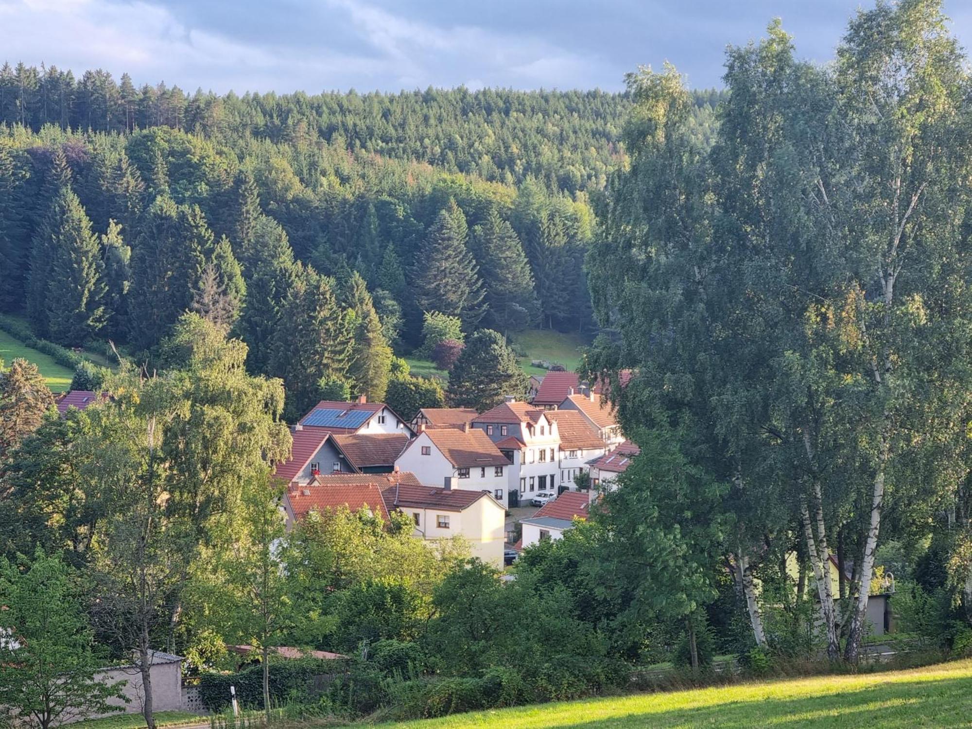 Superior - Ferienhaus Am Engelsbach Im Thueringer Wald Luaran gambar